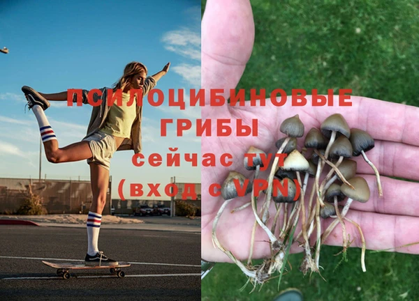твердый Верея