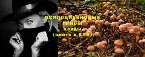 твердый Верея