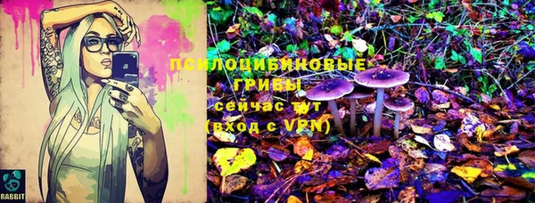 твердый Верея