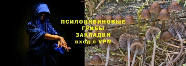 твердый Верея