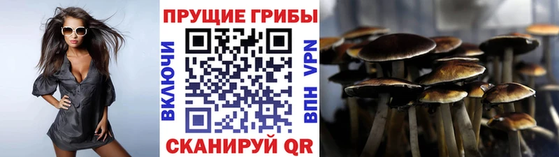 Галлюциногенные грибы мицелий  Новошахтинск 